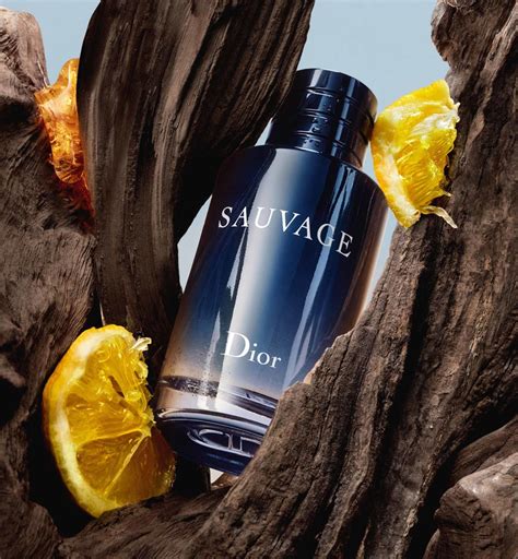 dior sauvage edt vaporisateur spray|sauvage eau de toilette.